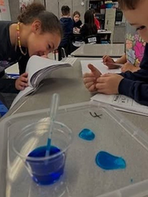 Students looking at two blue puddles